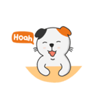 Kucing Jenius（個別スタンプ：21）