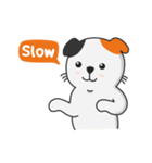 Kucing Jenius（個別スタンプ：40）