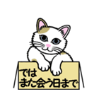 大人の緩くない猫スタンプーその2（個別スタンプ：40）