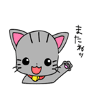 ぷちりぼんエリーのねこだらけ（個別スタンプ：34）