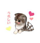 ニャンでPON☆ リアル猫（個別スタンプ：6）