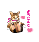 ニャンでPON☆ リアル猫（個別スタンプ：24）