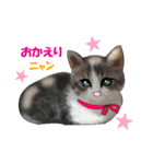 ニャンでPON☆ リアル猫（個別スタンプ：31）