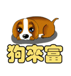 Animal auspicious words（個別スタンプ：36）