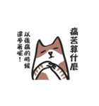 Cat say！-Working is happy（個別スタンプ：13）