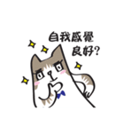 Cat say！-Working is happy（個別スタンプ：36）