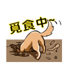 JohnJean（個別スタンプ：17）