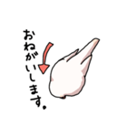 白文鳥スタンプ（個別スタンプ：16）