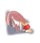 Rexfamily-Sister series（個別スタンプ：10）