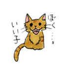 ちゃすたんぷ（個別スタンプ：38）
