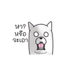 Stupid dog is PLUTO（個別スタンプ：40）