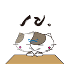 ネコミュニケーションスタンプ（個別スタンプ：2）