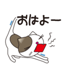 ネコミュニケーションスタンプ（個別スタンプ：10）
