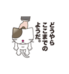ネコミュニケーションスタンプ（個別スタンプ：19）