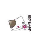 ネコミュニケーションスタンプ（個別スタンプ：24）