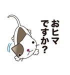 ネコミュニケーションスタンプ（個別スタンプ：26）