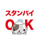 ネコミュニケーションスタンプ（個別スタンプ：29）