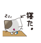 ネコミュニケーションスタンプ（個別スタンプ：34）
