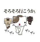 ネコミュニケーションスタンプ（個別スタンプ：37）
