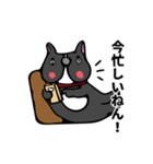 フレンチブル的なドッグ（個別スタンプ：19）