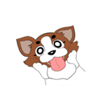 パピの助（個別スタンプ：11）