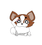 パピの助（個別スタンプ：12）