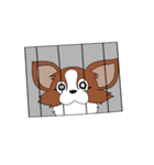 パピの助（個別スタンプ：37）