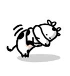 Maple Papacow（個別スタンプ：30）
