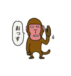 サルとゴリラ（個別スタンプ：1）
