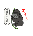 サルとゴリラ（個別スタンプ：37）