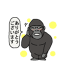 サルとゴリラ（個別スタンプ：38）