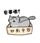 Cat slave in her head a mushroom（個別スタンプ：16）