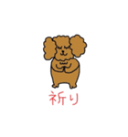 トイプードルTeddy-chan2（個別スタンプ：11）