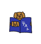 トイプードルTeddy-chan2（個別スタンプ：16）