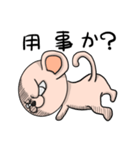 眉間無毛猿（個別スタンプ：39）