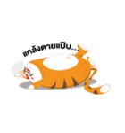Woody the cat（個別スタンプ：19）