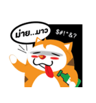 Woody the cat（個別スタンプ：25）