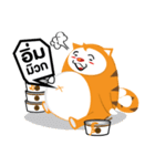 Woody the cat（個別スタンプ：28）