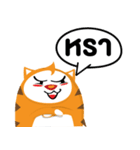 Woody the cat（個別スタンプ：37）