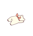 白くま家族（個別スタンプ：24）