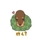 犬との生活（個別スタンプ：23）