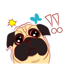 little dog pug Cartoon（個別スタンプ：1）