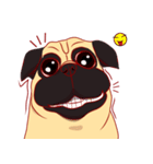 little dog pug Cartoon（個別スタンプ：3）