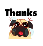 little dog pug Cartoon（個別スタンプ：5）