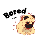 little dog pug Cartoon（個別スタンプ：13）