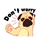 little dog pug Cartoon（個別スタンプ：31）