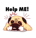 little dog pug Cartoon（個別スタンプ：33）