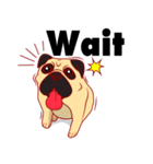 little dog pug Cartoon（個別スタンプ：34）