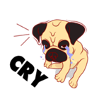 little dog pug Cartoon（個別スタンプ：35）