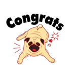 little dog pug Cartoon（個別スタンプ：36）